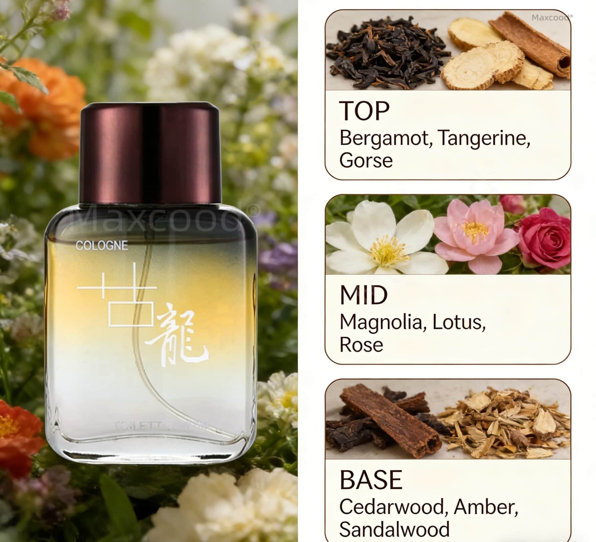 Maxcood A Citrus Profumo da Uo - Perfume High Fragrance recensione e prezzo
