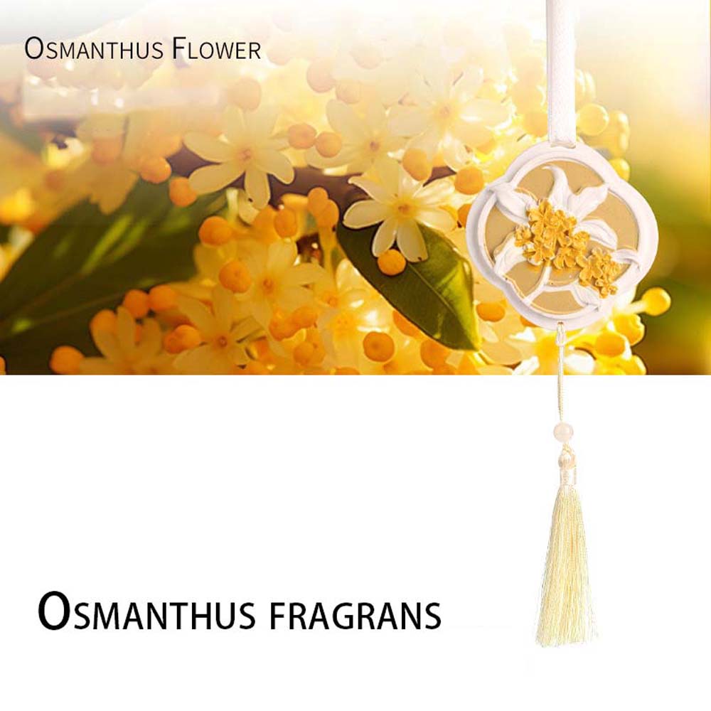 Ciondolo profumato per auto Os - Perfume Gardenia Fragrance recensione e prezzo