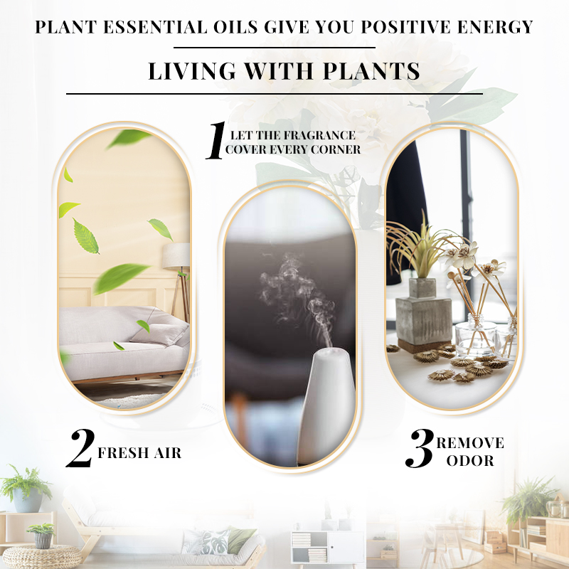 EVOKE Fragranza al Gelsomino 1 - Perfume Fragrance Enhancer recensione e prezzo